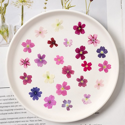 Beauty Makeup Bridal - 60 stuks diverse mini gedroogde bloemenstickers