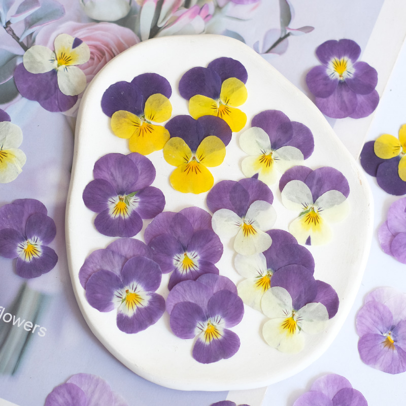 Beauty Makeup Bridal - 12 stks, natuur viooltje gedroogde bloem