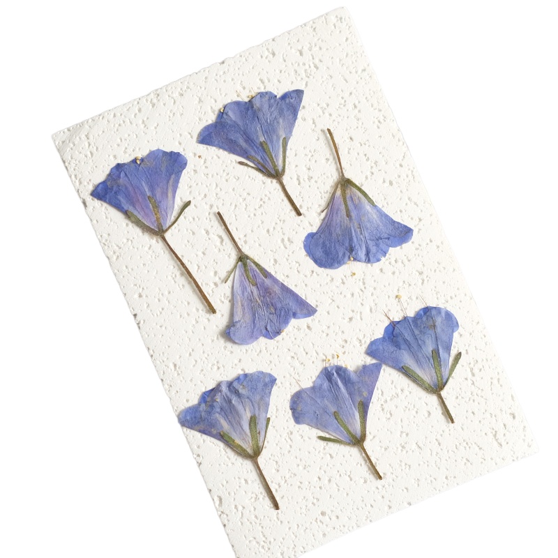 12 stuks/3-5cm, natuurlijke Bl - Beauty Makeup Bridal recensie en prijs