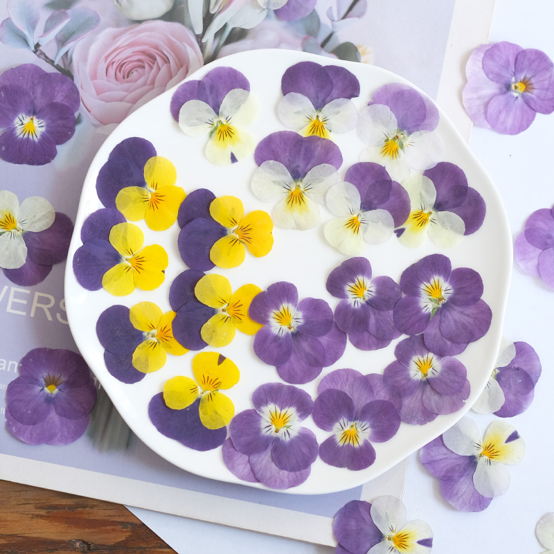 12 stks, natuur viooltje gedro - Beauty Makeup Bridal recensie en prijs