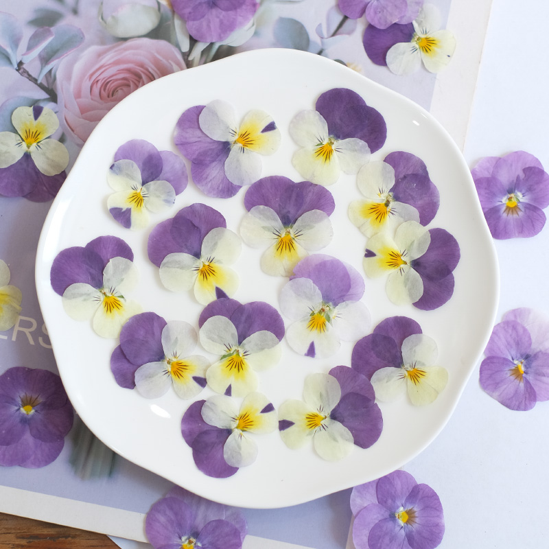 12 stks, natuur viooltje gedro - Beauty Makeup Bridal recensie en prijs