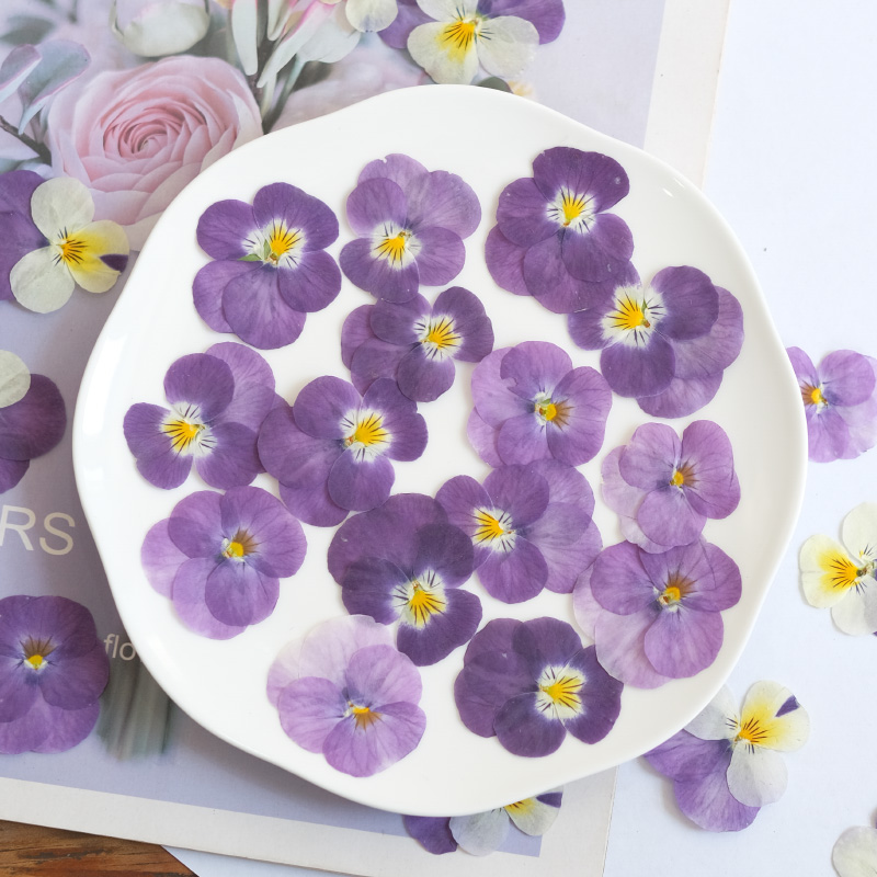 12 stks, natuur viooltje gedro - Beauty Makeup Bridal recensie en prijs